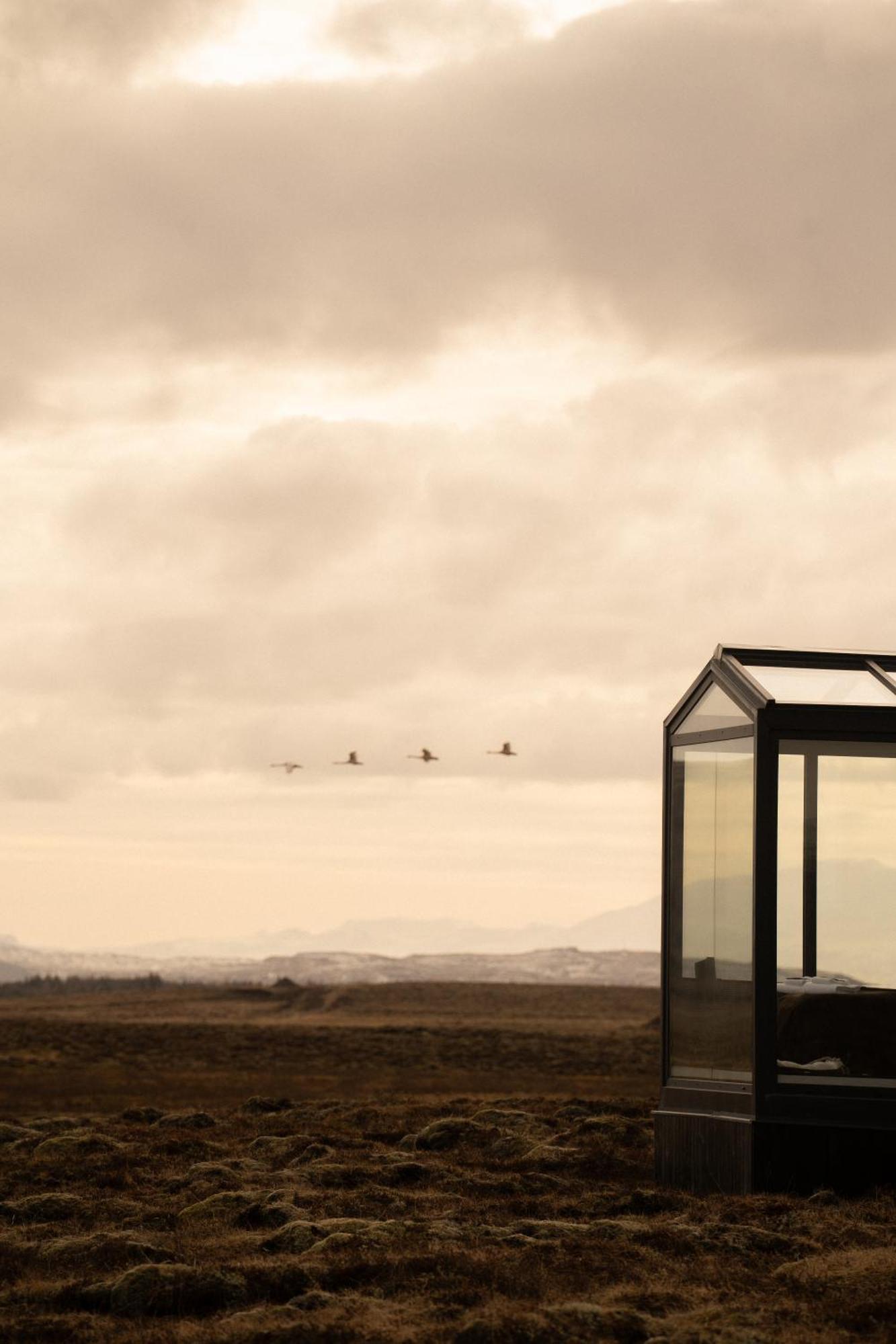 Tiny Glass Lodge Experience The Nature Селфос Екстериор снимка